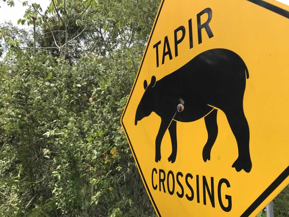 Golden Stream, Belize