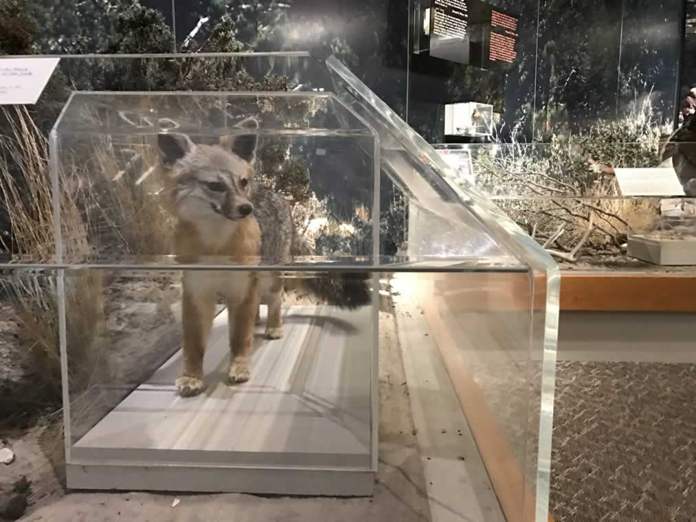 Guadalupe Mountains National Park
