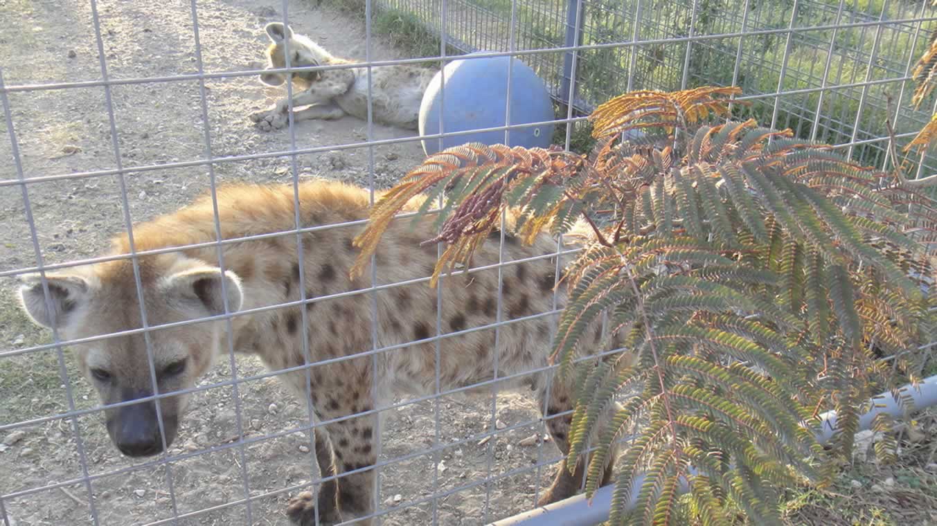 Eastern Pennsylvania