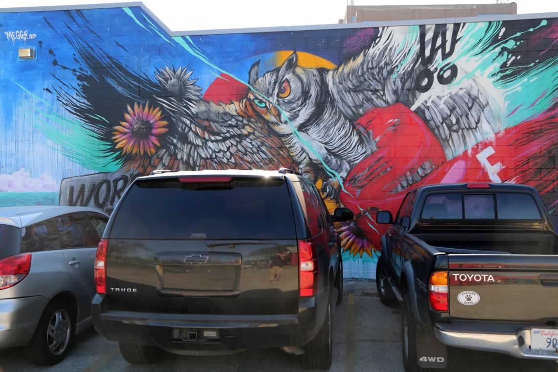 Austin, TX. (Mural by Meggs)