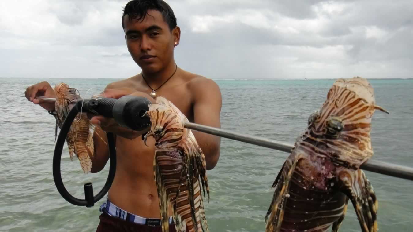 Buena Vista Point, Belize