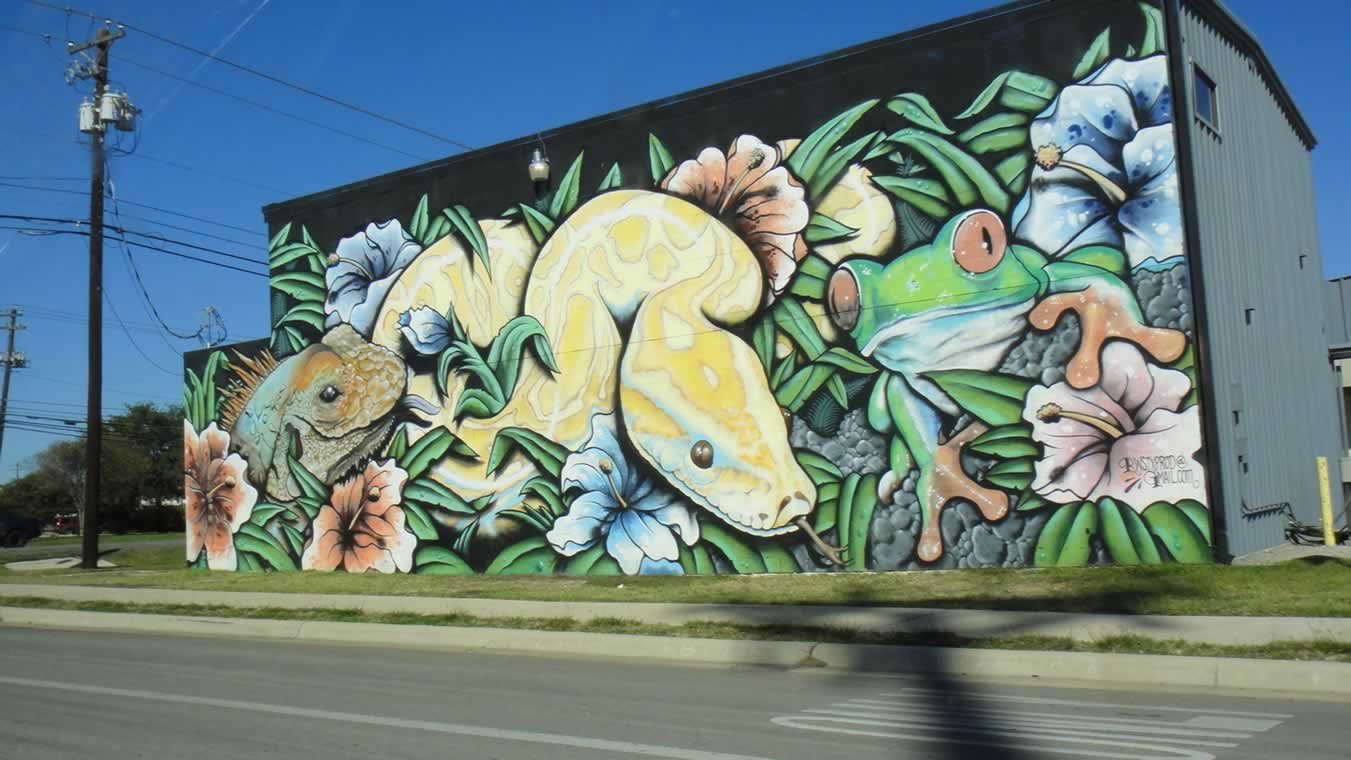 Austin, TX. (Mural by RWSTXPROD)