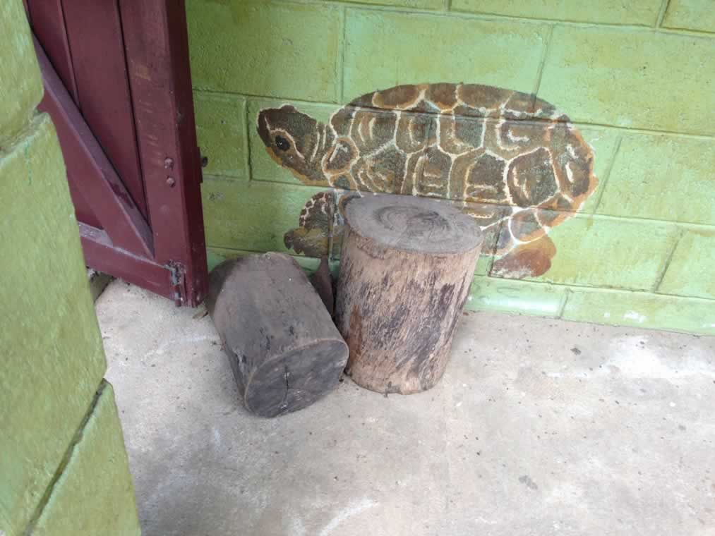 Rio Blanco National Park, Belize