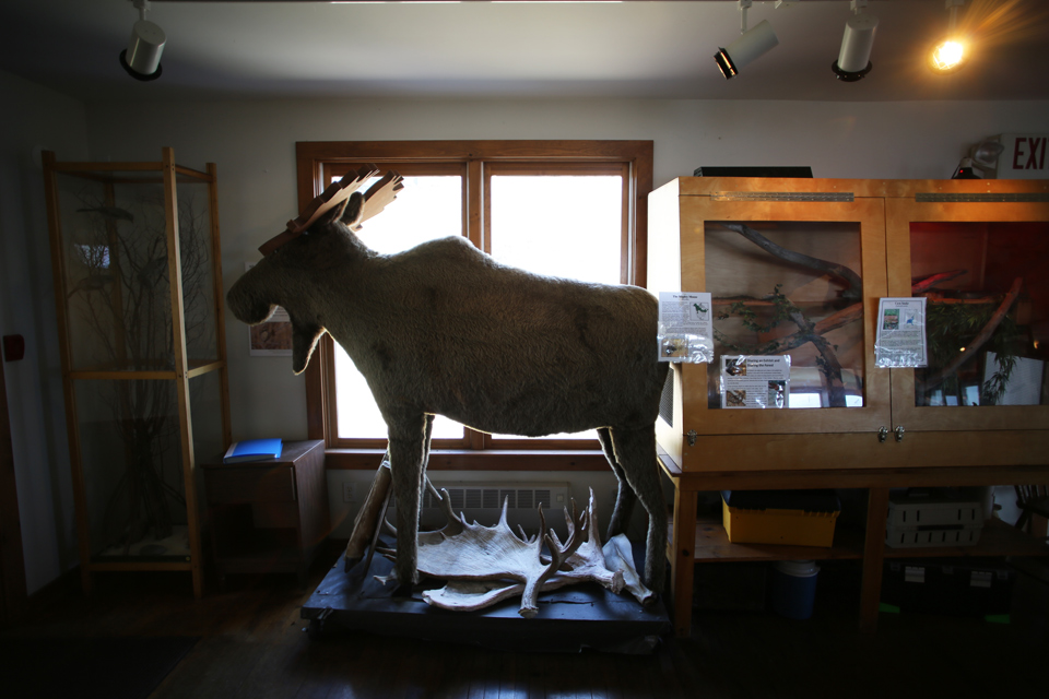 Hogback Mountain, VT