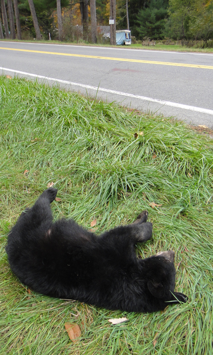 Eastern Pennsylvania